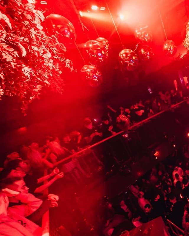 Stereo Sessions at Thompsons, Spring 2025 · Part 2
