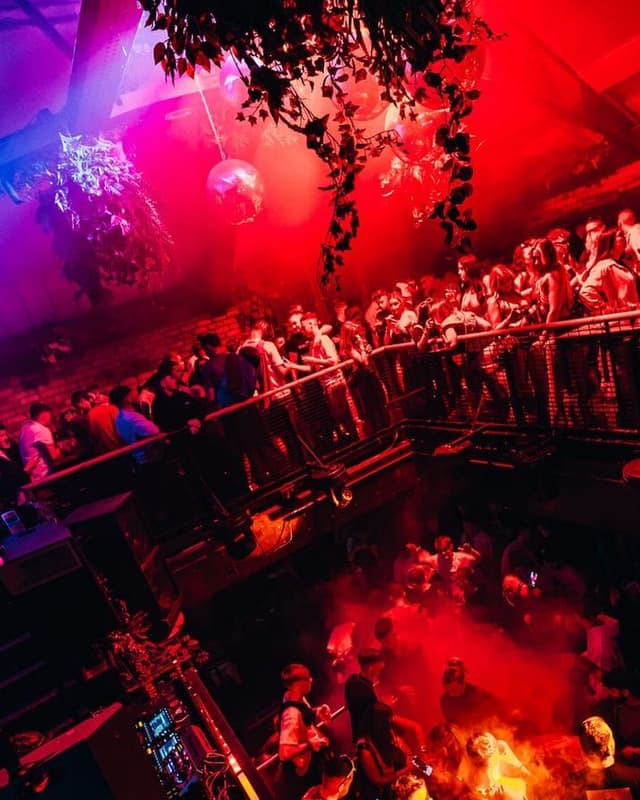 Stereo Sessions at Thompsons, Summer 2025 · Part 2